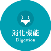 消化機能Digestion